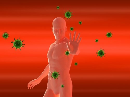 Strengthened immune system