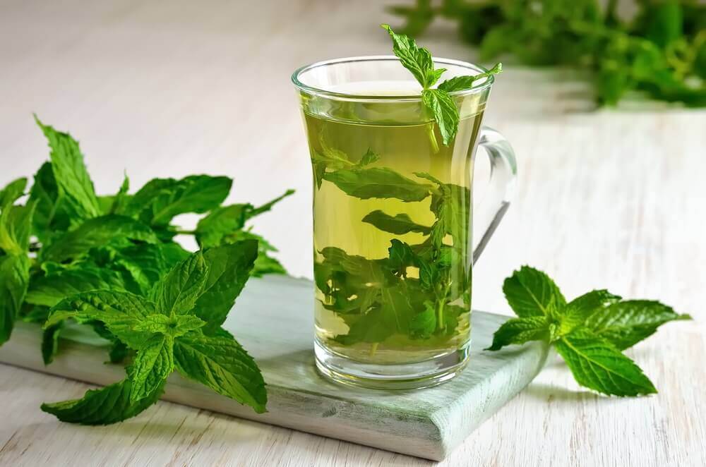 Reduce Vertigo With These Natural Remedies Step To Health   Mint For Vertigo Treatment 