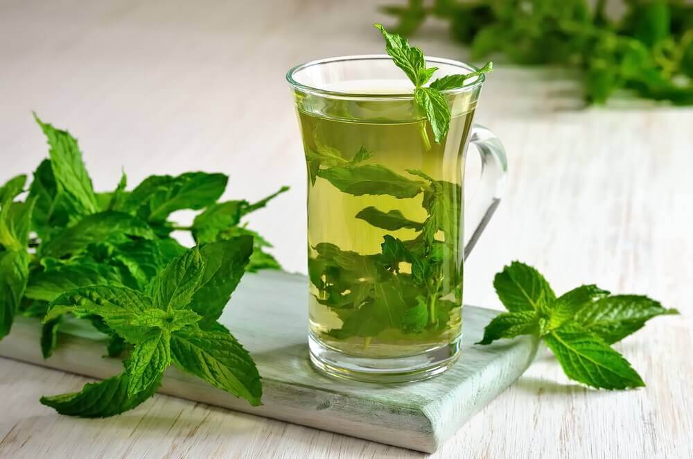 Mint for vertigo treatment