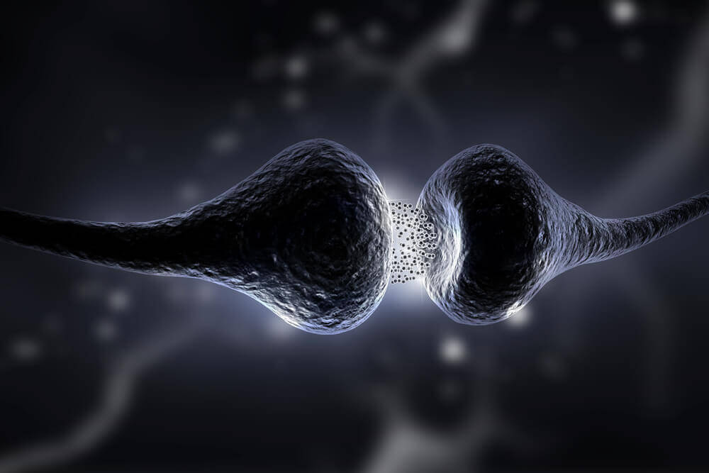 The Serotonin Diet: Discover What It Is and Its Benefits