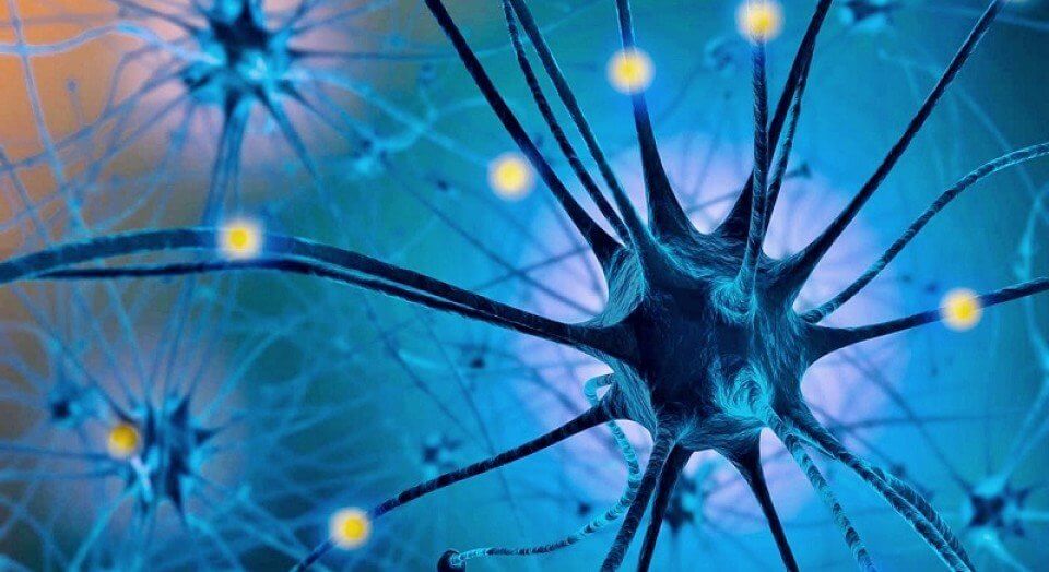 Some serotonin floating around.