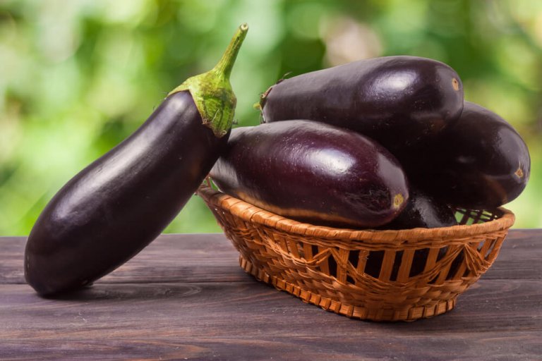 Eggplant Extract - A Natural Way to Reduce Cholesterol