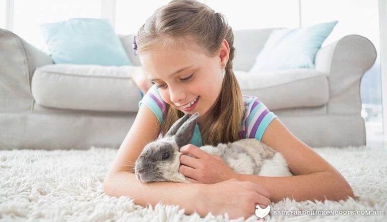 child with her pet rabbit
