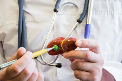 gallbladder and doctor; the best diet after gallbladder removal