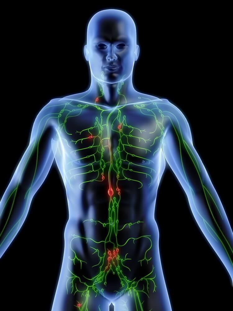 How to Cleanse Your Lymphatic System: 5 plant-based solutions