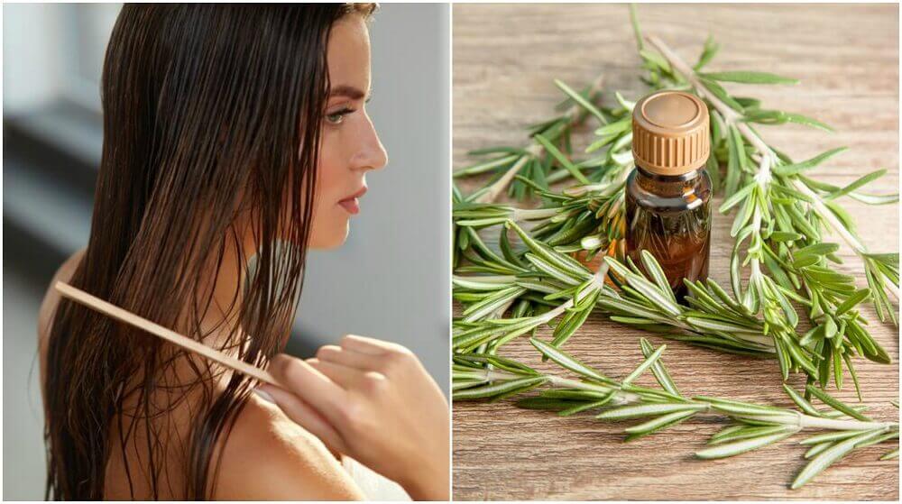 Natural rosemary