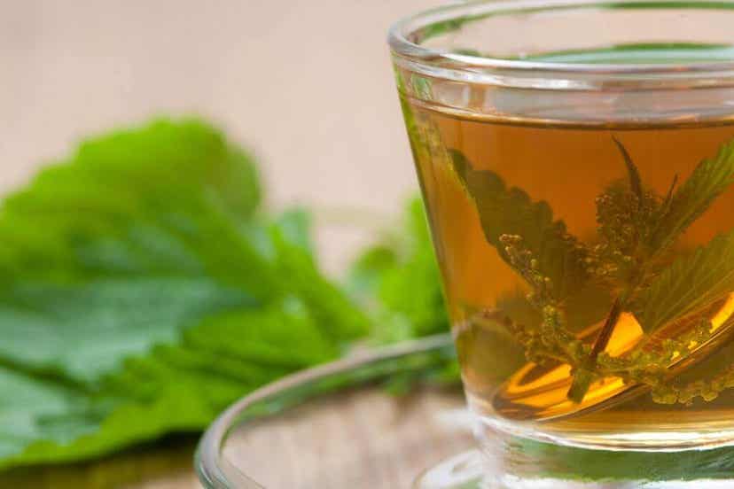 A cup of nettle tea.