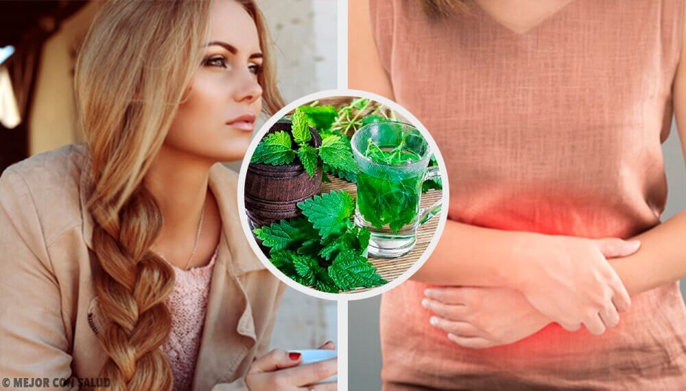 How to Use Nettle and Maximize Its Power