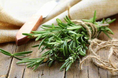 A bunch of fresh rosemary sprigs.