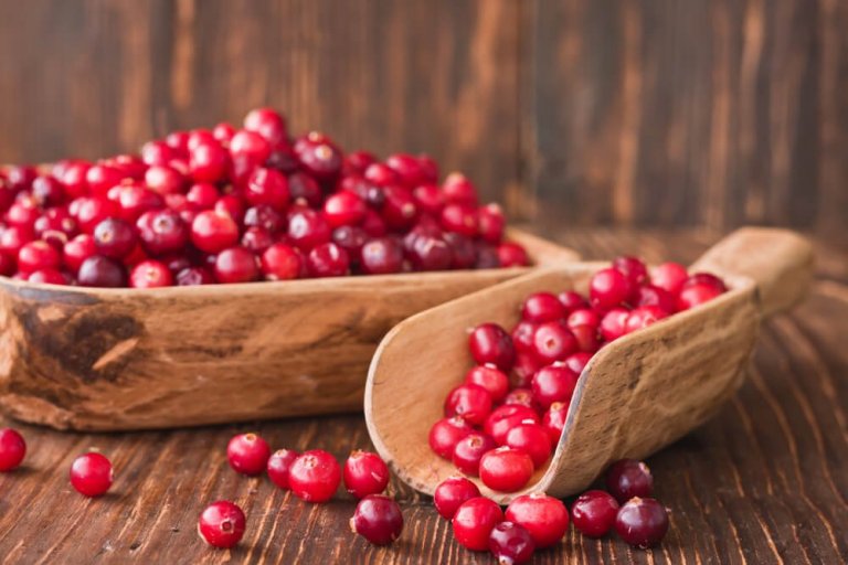 Five New Medicinal Uses for Cranberries Step To Health