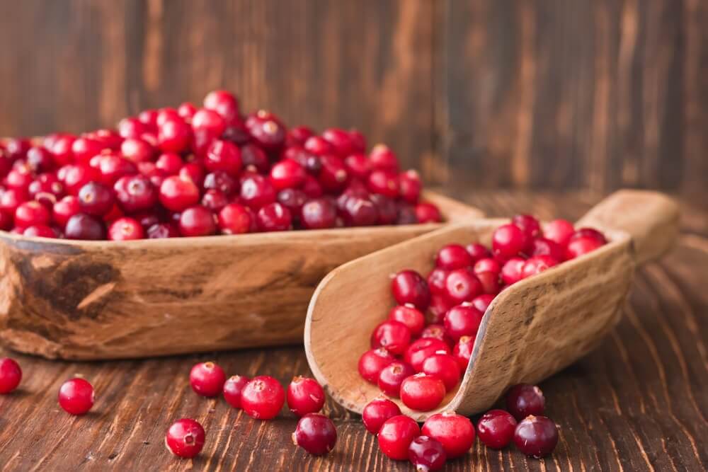 Five New Medicinal Uses for Cranberries