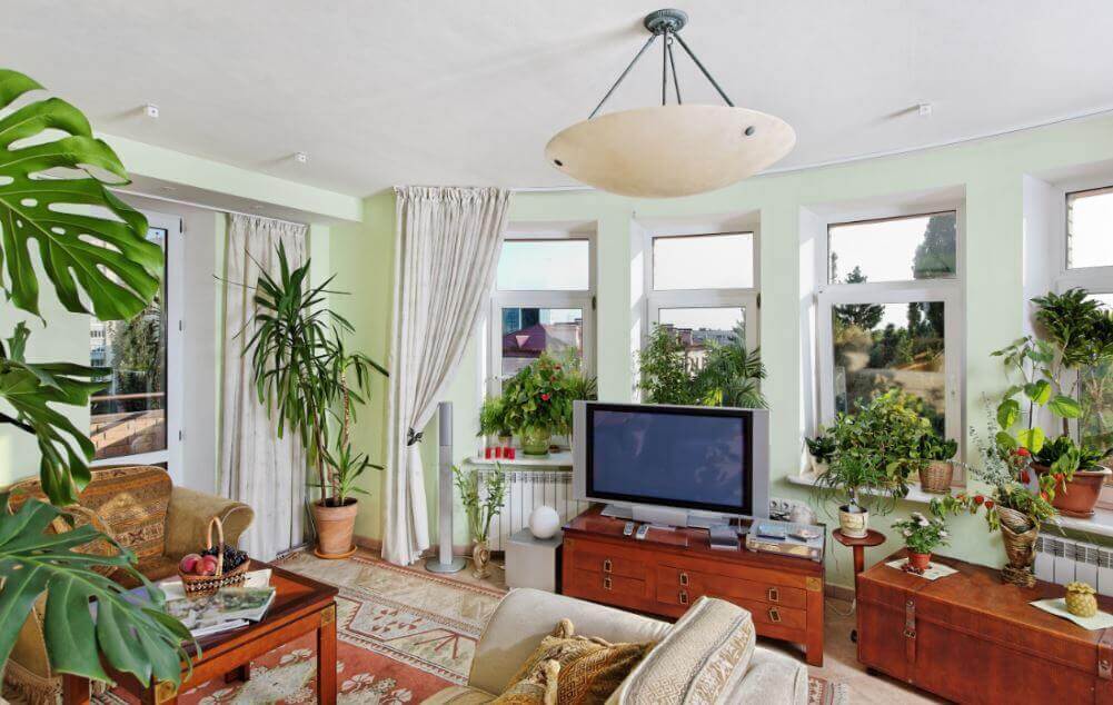 Learn How to Decorate Your Spaces with Plants