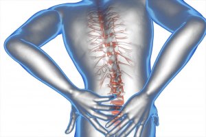 Arnica and Coconut Oil Ointment to Treat Lower Back Pain