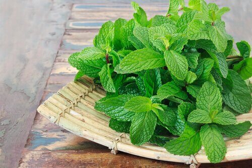 Some peppermint on a wooden tray