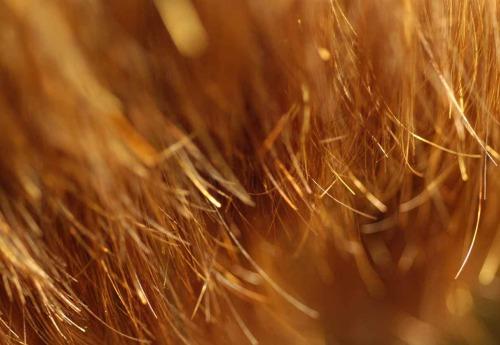 How to restore split ends