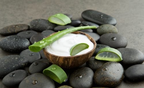 Aloe vera, lotion, and black stones.