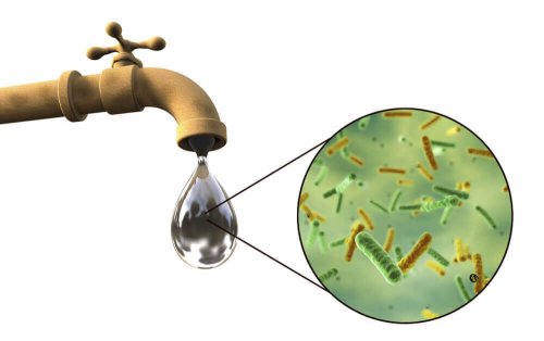 intestinal infections