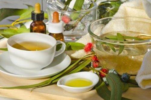 eucalyptus remedies