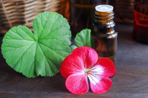 A flower and oil.
