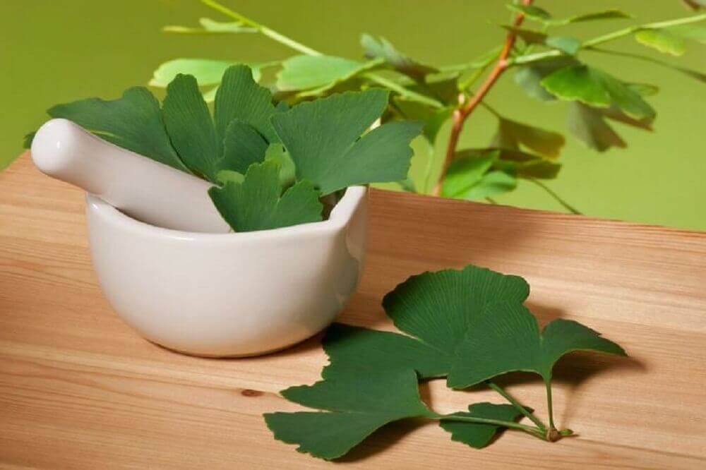 Homemade ginkgo biloba remedies.