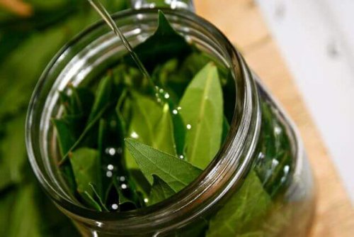 Laurel oil in a jar.