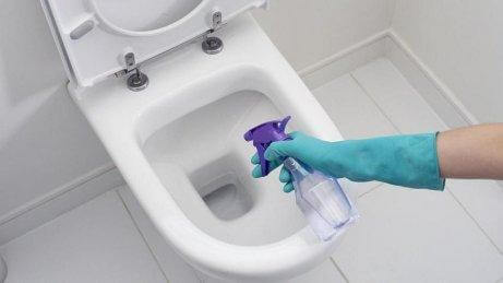 Person cleaning toilet with white vinegar.