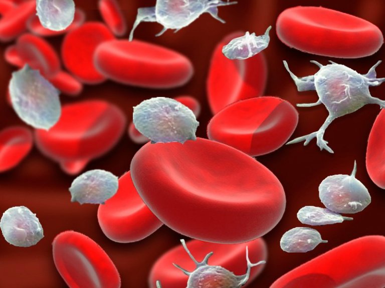 An Aloe Treatment to Elevate Your Platelet Count