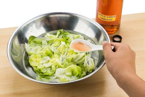 A bowl of lettuce.