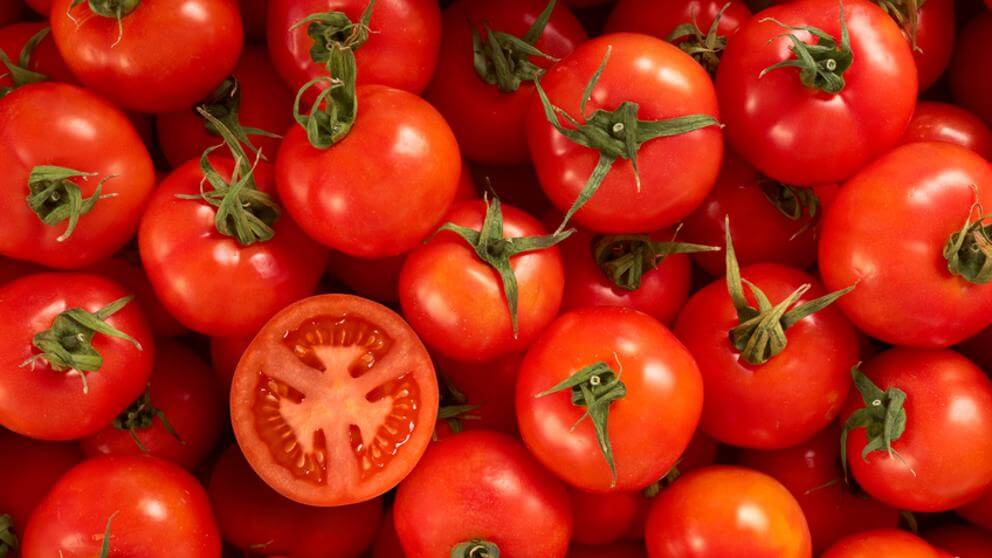 Lots of tomatoes