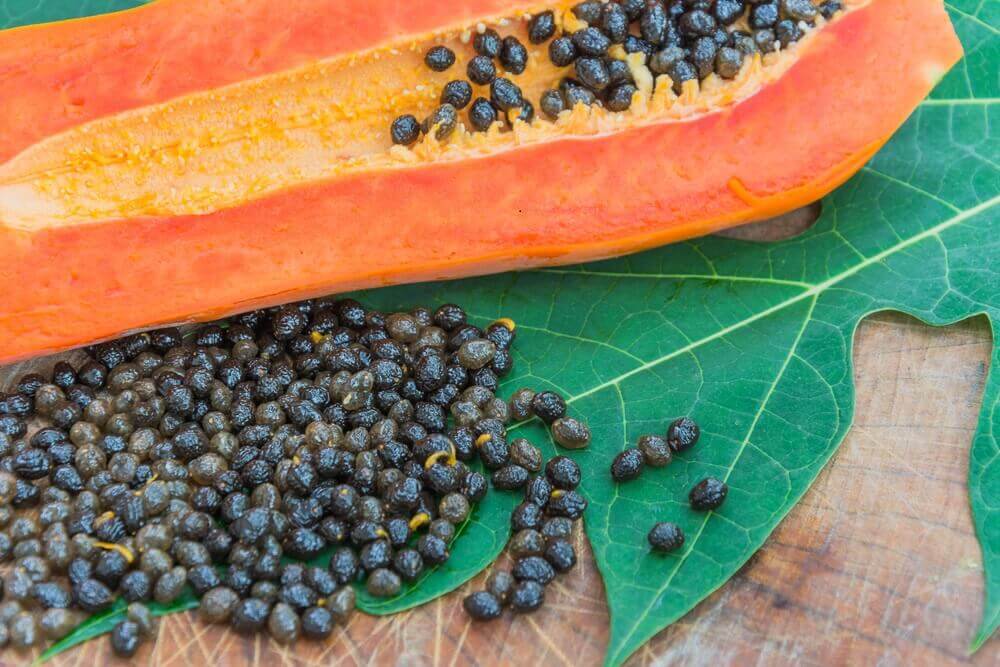 6 Natural Remedies for Parasitic Infections