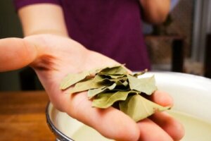 Laurel Remedies to Improve your Respiratory Health