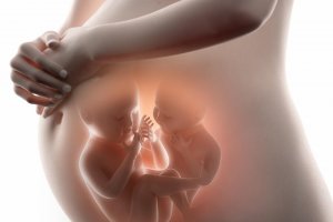 Do You Know the Difference between Identical and Fraternal Twins?