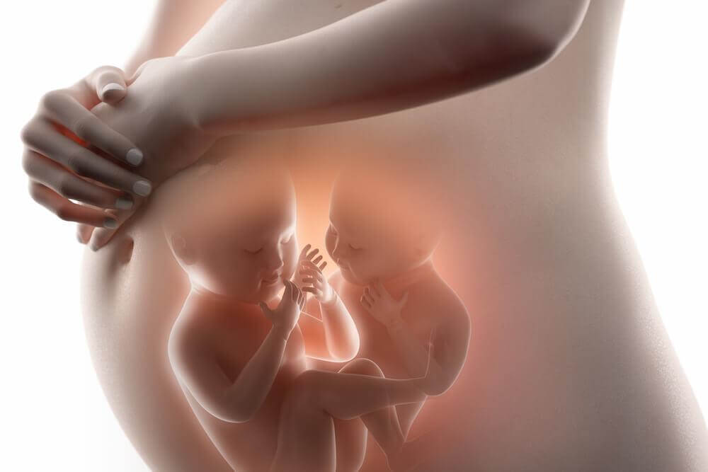 Do You Know the Difference between Identical and Fraternal Twins?