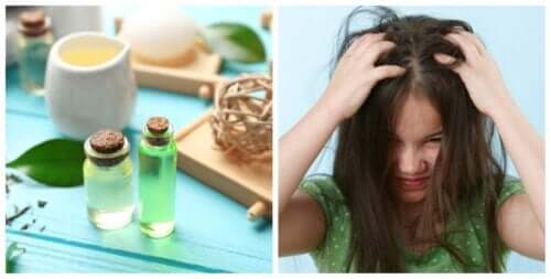 Four Vinegar-based Remedies to Naturally Combat Head Lice