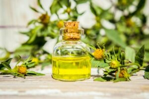 Tea Tree Oil Against Fleas and Ticks