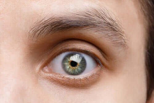 A close up of a woman's eye.