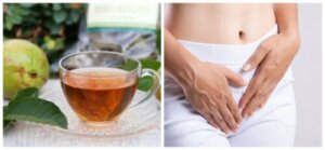 Three Guava Leaf Remedies Against Vaginal Discharge