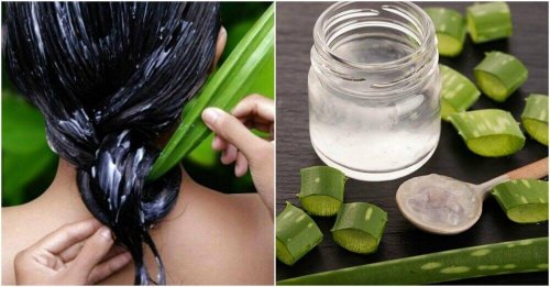 aloe vera der bliver brugt til hår