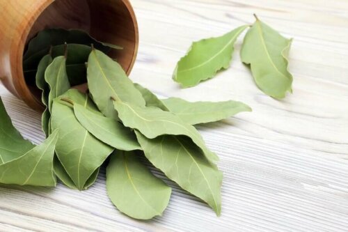 A bowl of bay leaves.