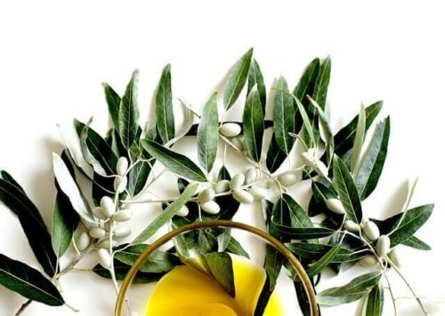 A few sprigs of olive leaves.