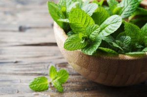 Three Remedies for Bad Breath Using Mint