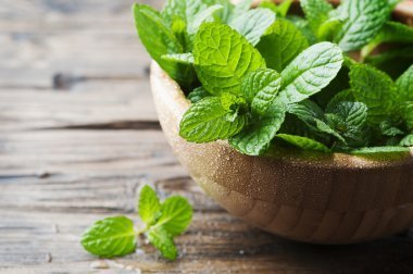 Three Remedies for Bad Breath Using Mint