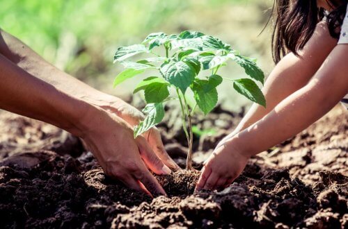 forælder og barn, der planter udenfor