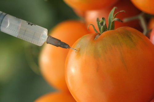carcinogene fødevarer og GMO