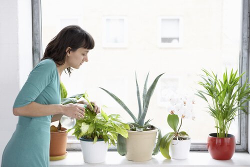 Woman checking plants for plagues.