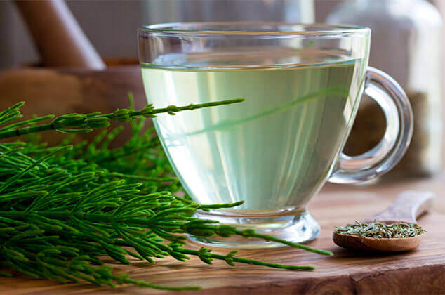 A cup of horsetail tea with the herb.