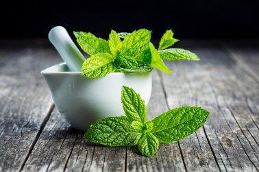 Mint.