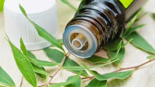 A bottle of tea tree oil.