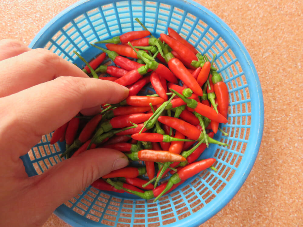 How to Prepare a Cayenne Pepper Ointment for Varicose Veins