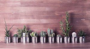 Three Ideas to Reuse Aluminum Cans